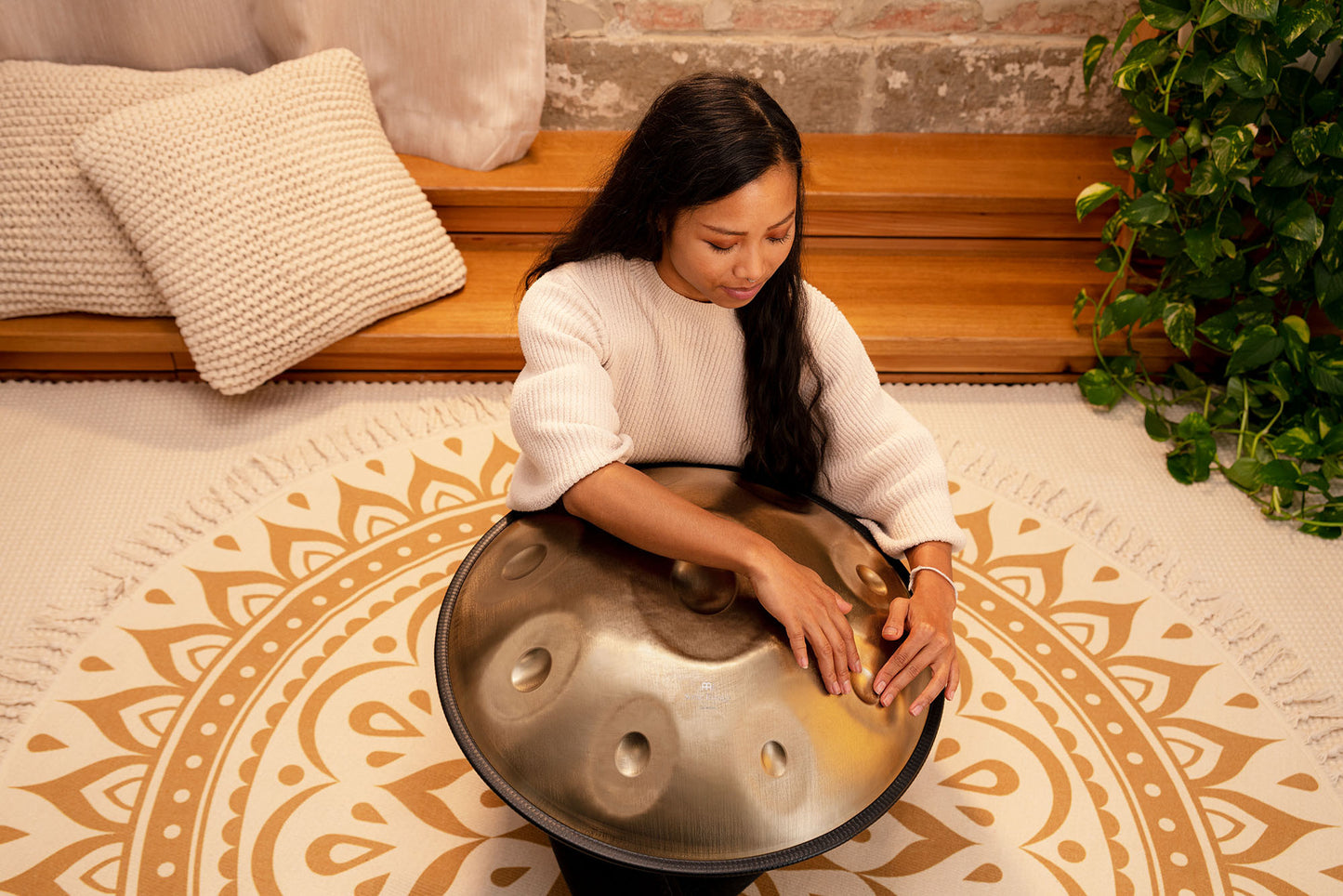 MEINL Sonic Energy Sensory Handpan Stainless Steel C# Minor 9 Notes 432 Hz - Vintage Gold detail view 4 at Luna Panther