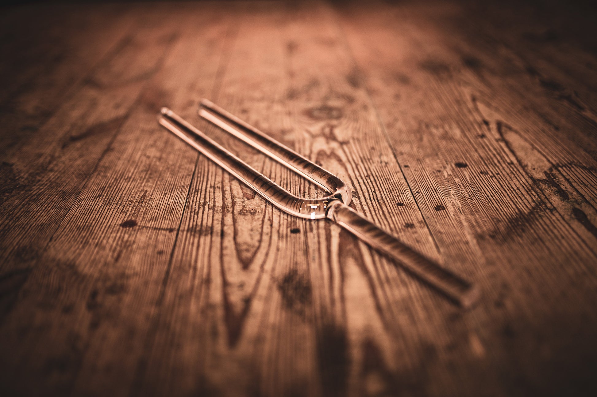 MEINL Sonic Energy Crystal Tuning Fork - C4/261,63 Hz detail view 2 at Luna Panther
