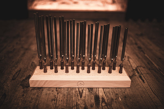 MEINL Sonic Energy Planetary Tuned Therapy Tuning Fork Set - 16 pcs. detail view 2 at Luna Panther alternate view
