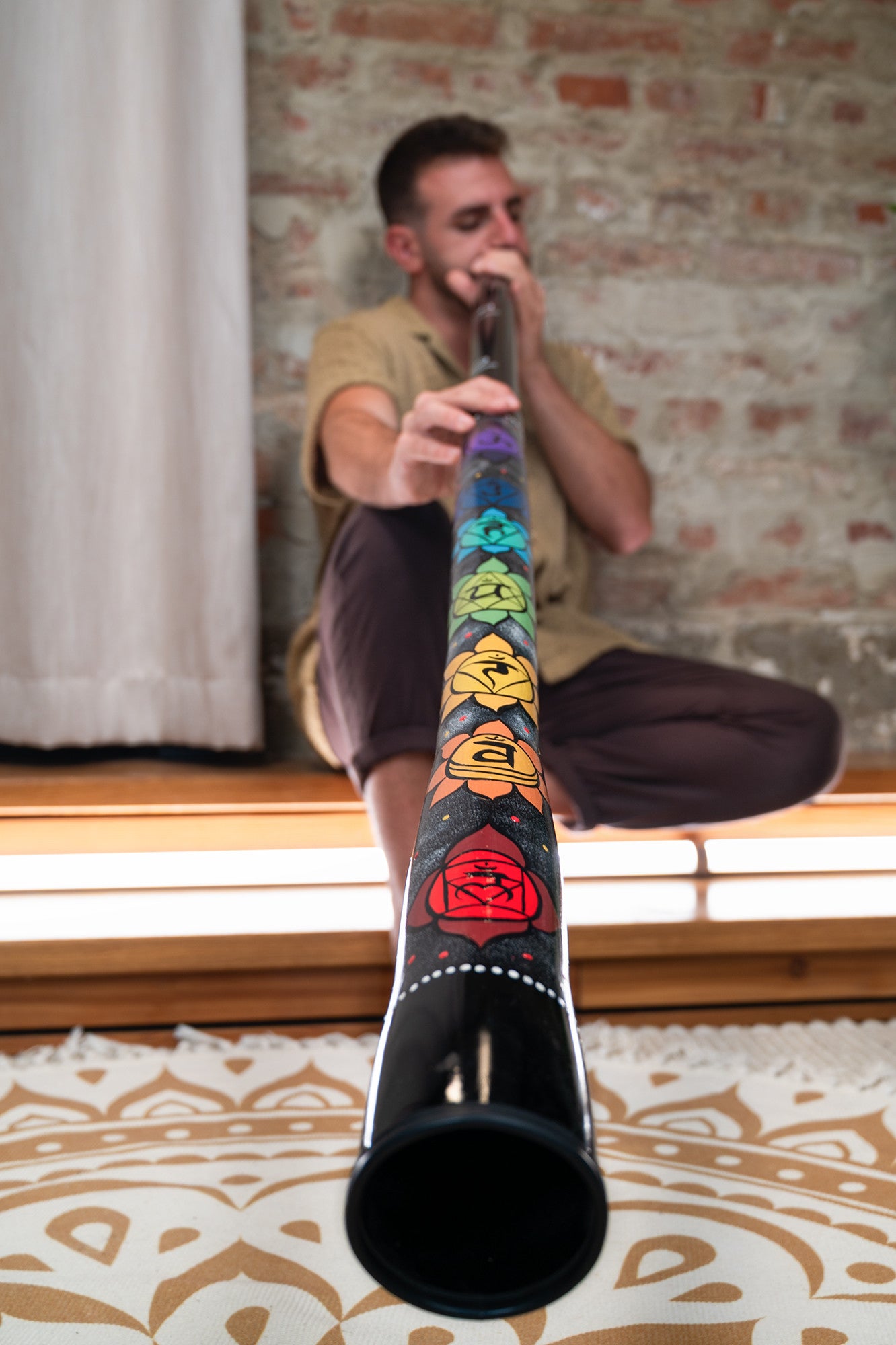 MEINL Sonic Energy Chakra Didgeridoo detail view 8 at Luna Panther