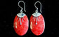 925 Silver Earrings - Oval Decor - Luna Panther