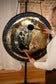 Meinl Sonic Energy Chakra Gong 32" - Throat Chakra/141,27 Hz/C#2 detail view 6 at Luna Panther