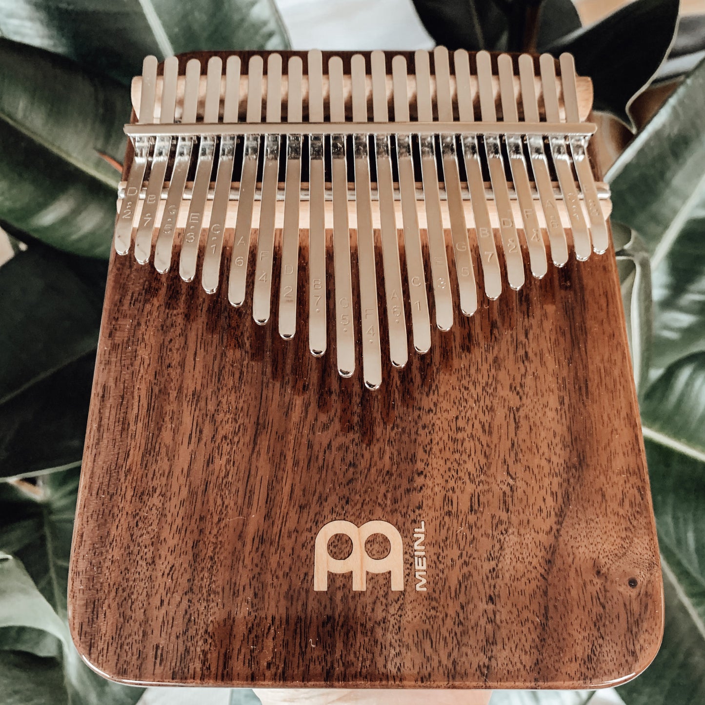Meinl Sonic Energy Solid Kalimba - 21 notes, black walnut detail view 15 at Luna Panther
