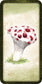 Mushroom Affirmations