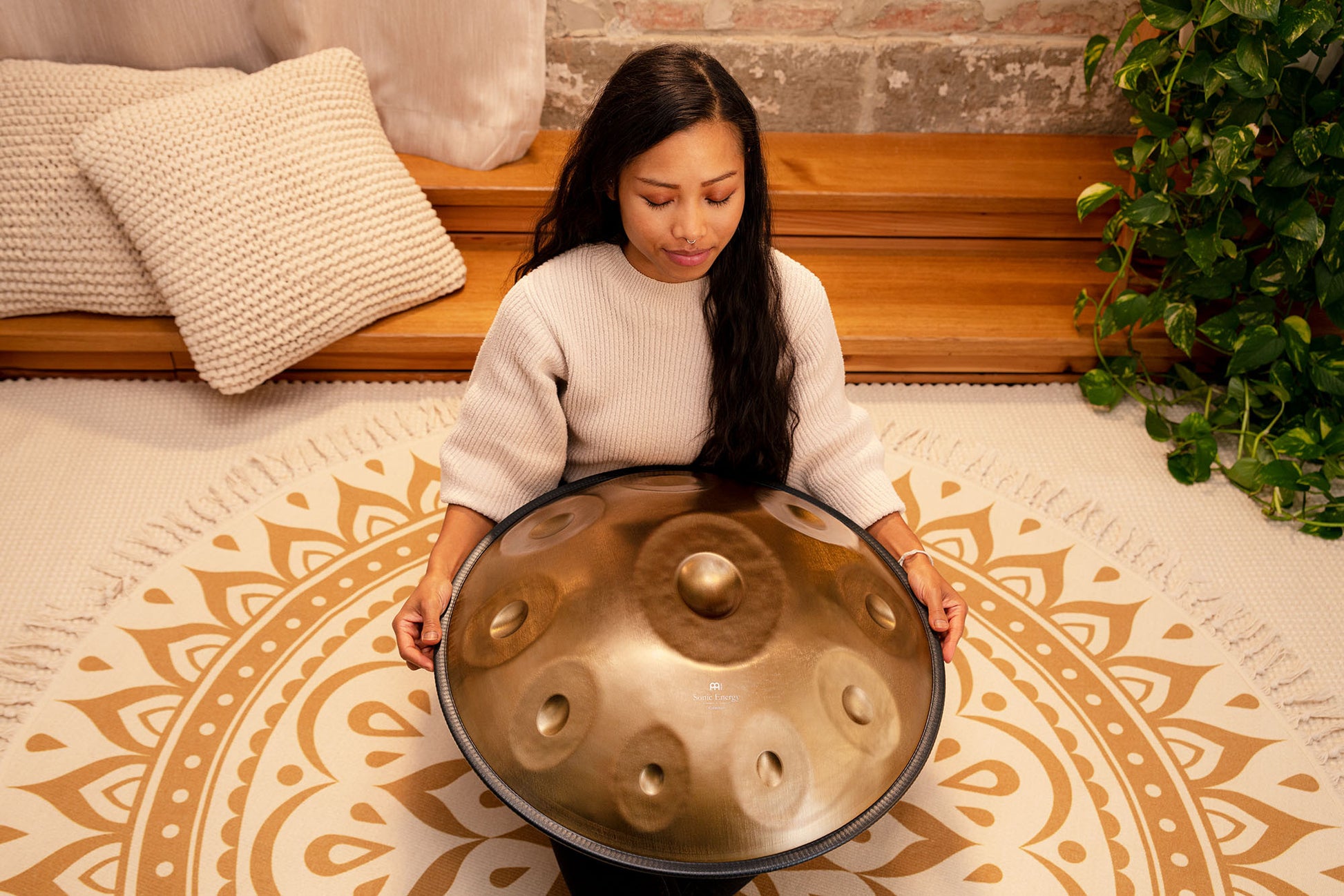 MEINL Sonic Energy Sensory Handpan Stainless Steel D Amara 10 Notes 440 Hz - Vintage Gold detail view 3 at Luna Panther