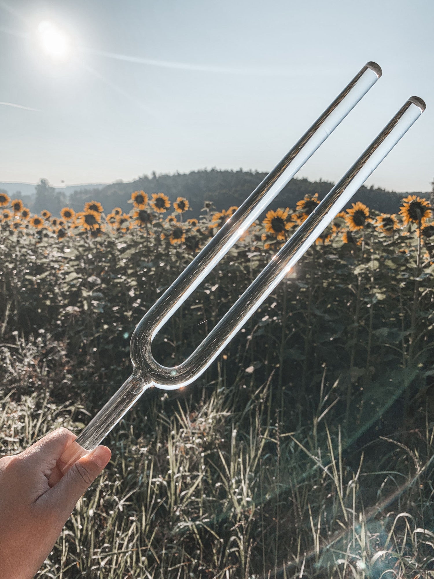 MEINL Sonic Energy Crystal Tuning Fork - C3/130.81 Hz detail view 7 at Luna Panther