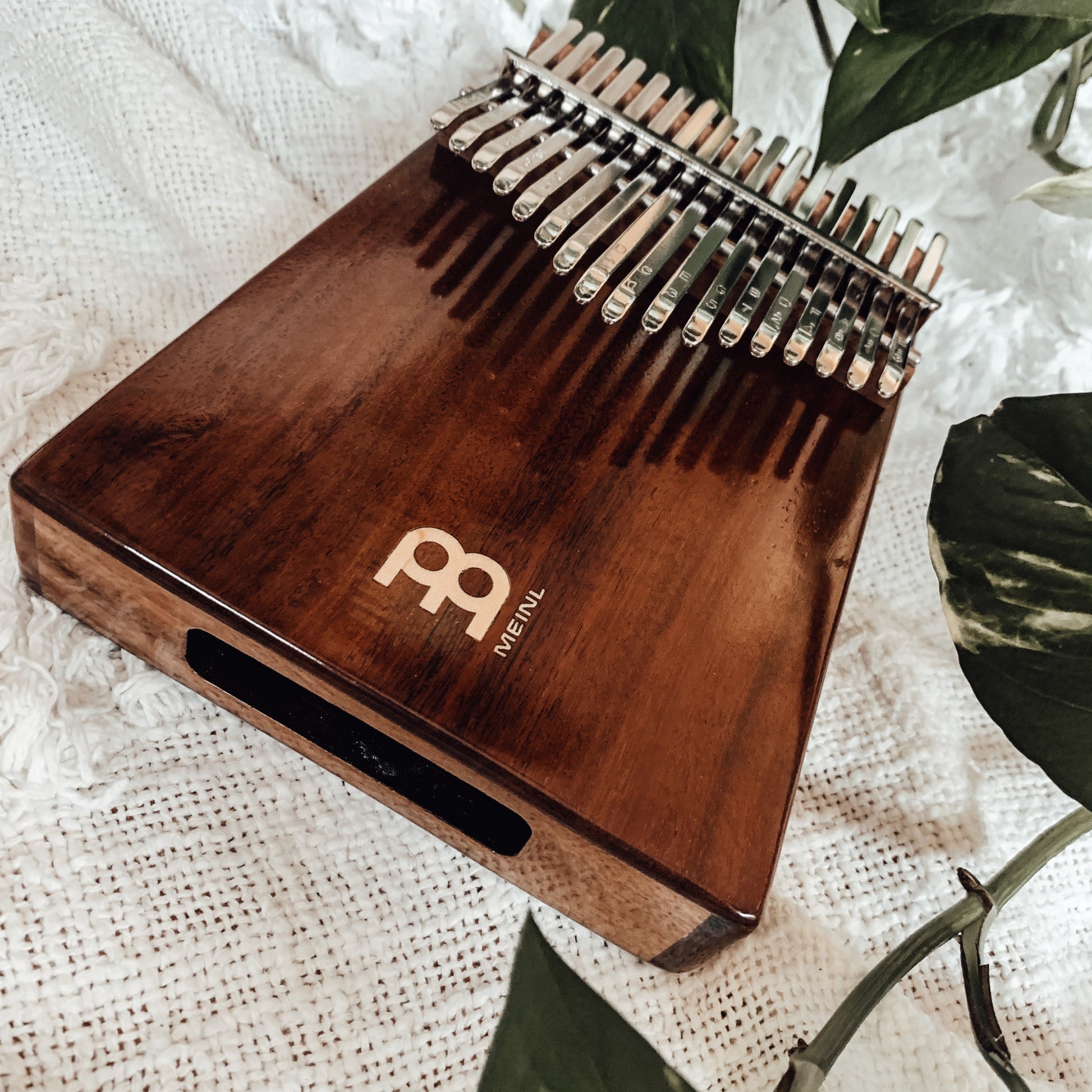 Meinl Sonic Energy Wah-Wah Kalimba - 17 notes, acacia detail view 15 at Luna Panther