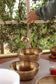 MEINL Sonic Energy Cosmos Series Singing Bowl - 250g detail view 13 at Luna Panther