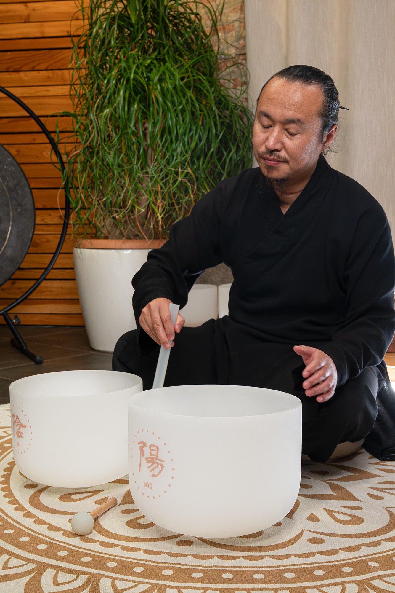 MEINL Sonic Energy 2-piece TCM Crystal Singing Bowl Yin & Yang Set detail view 6 at Luna Panther