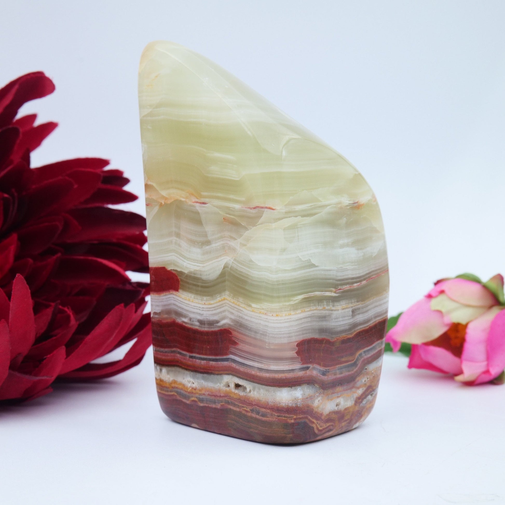 Afghanistan Jade / Onyx Freeform — 329 g - Luna Panther