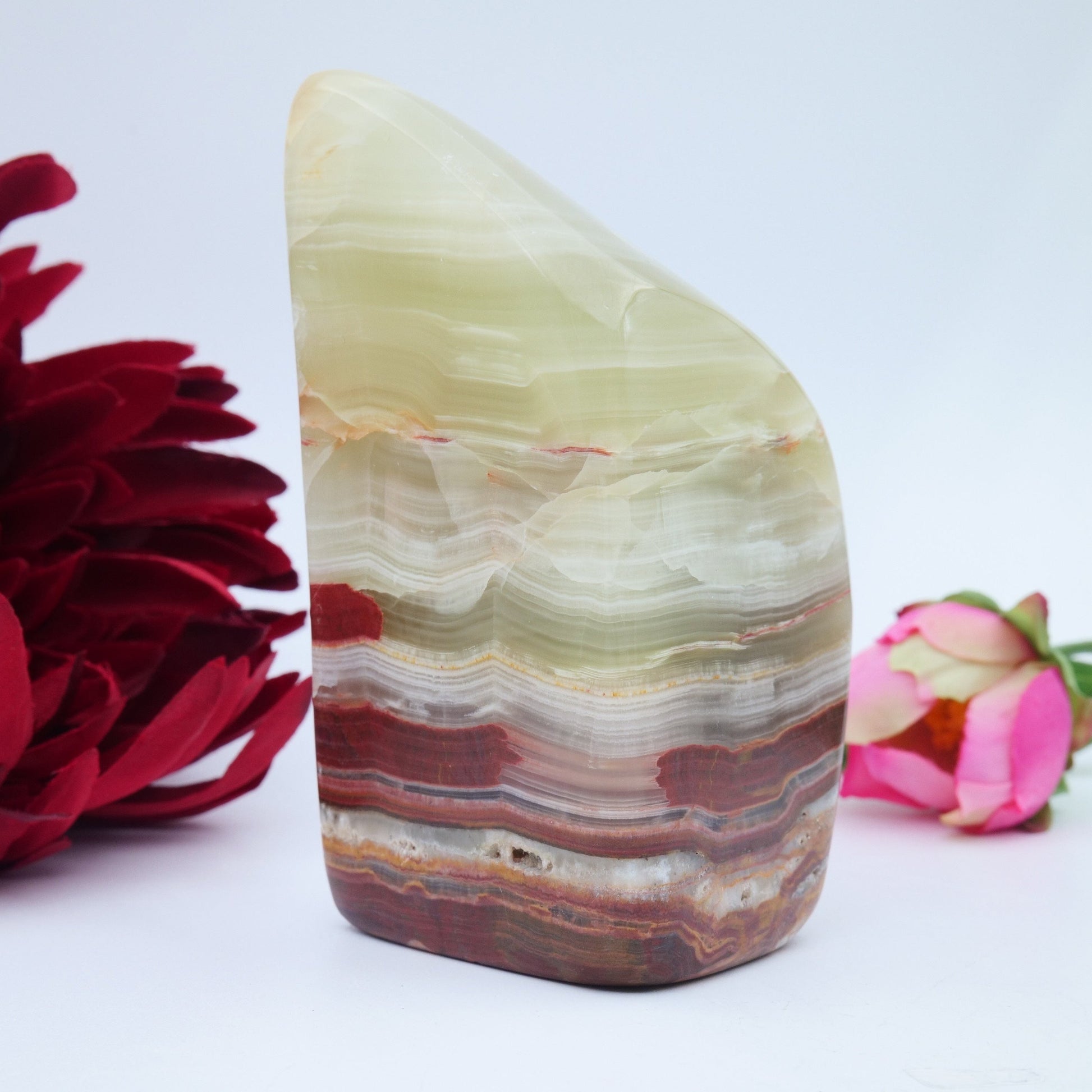 Afghanistan Jade / Onyx Freeform — 329 g - Luna Panther