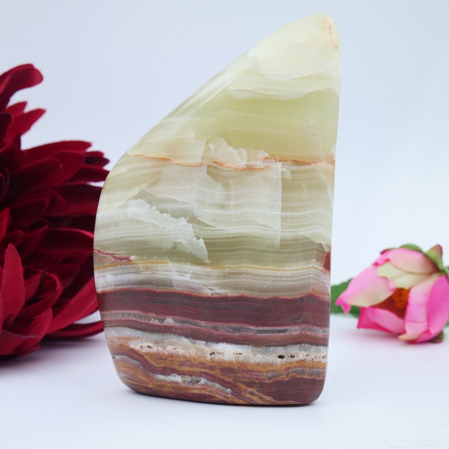 Afghanistan Jade / Onyx Freeform — 329 g - Luna Panther