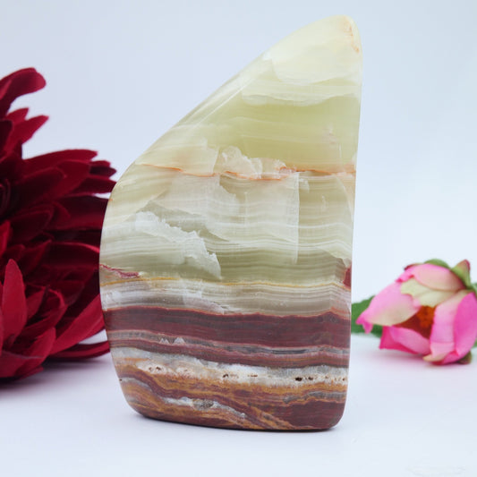 Afghanistan Jade / Onyx Freeform — 329 g - Luna Panther