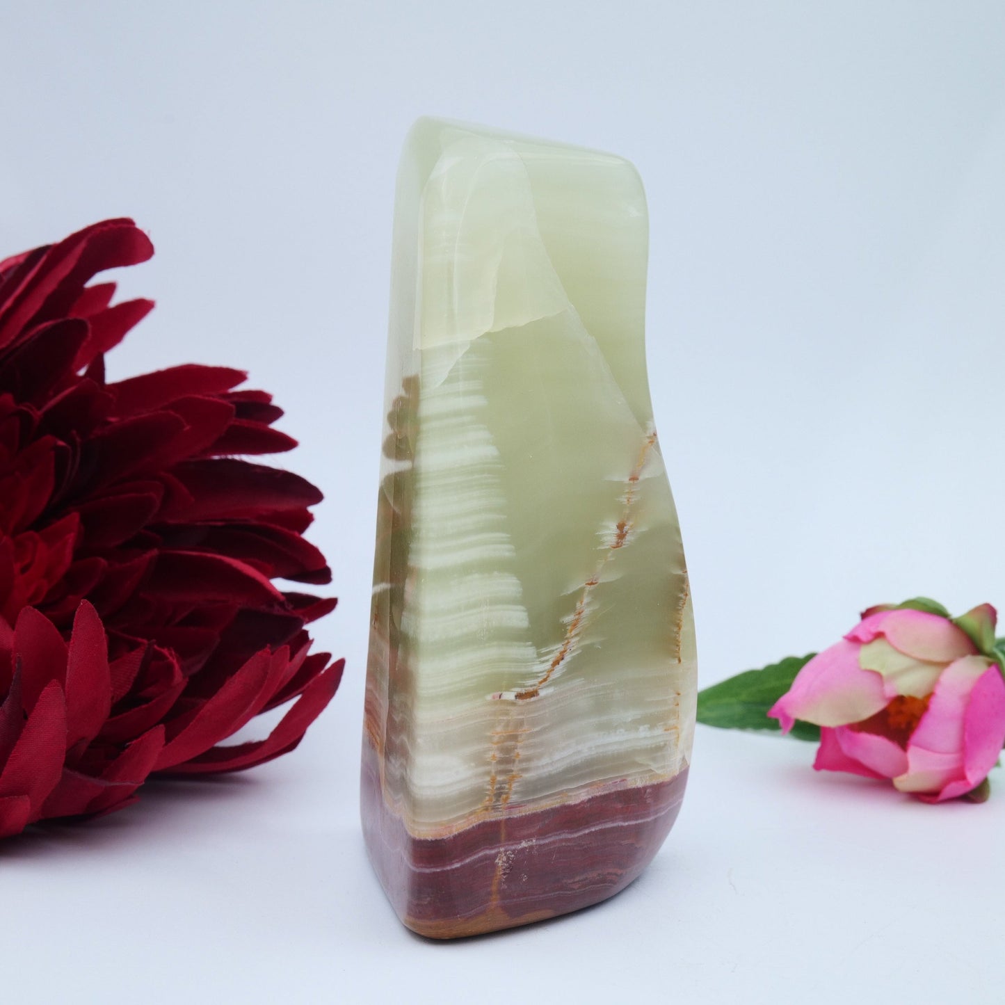 Afghanistan Jade / Onyx Freeform — 502 g - Luna Panther