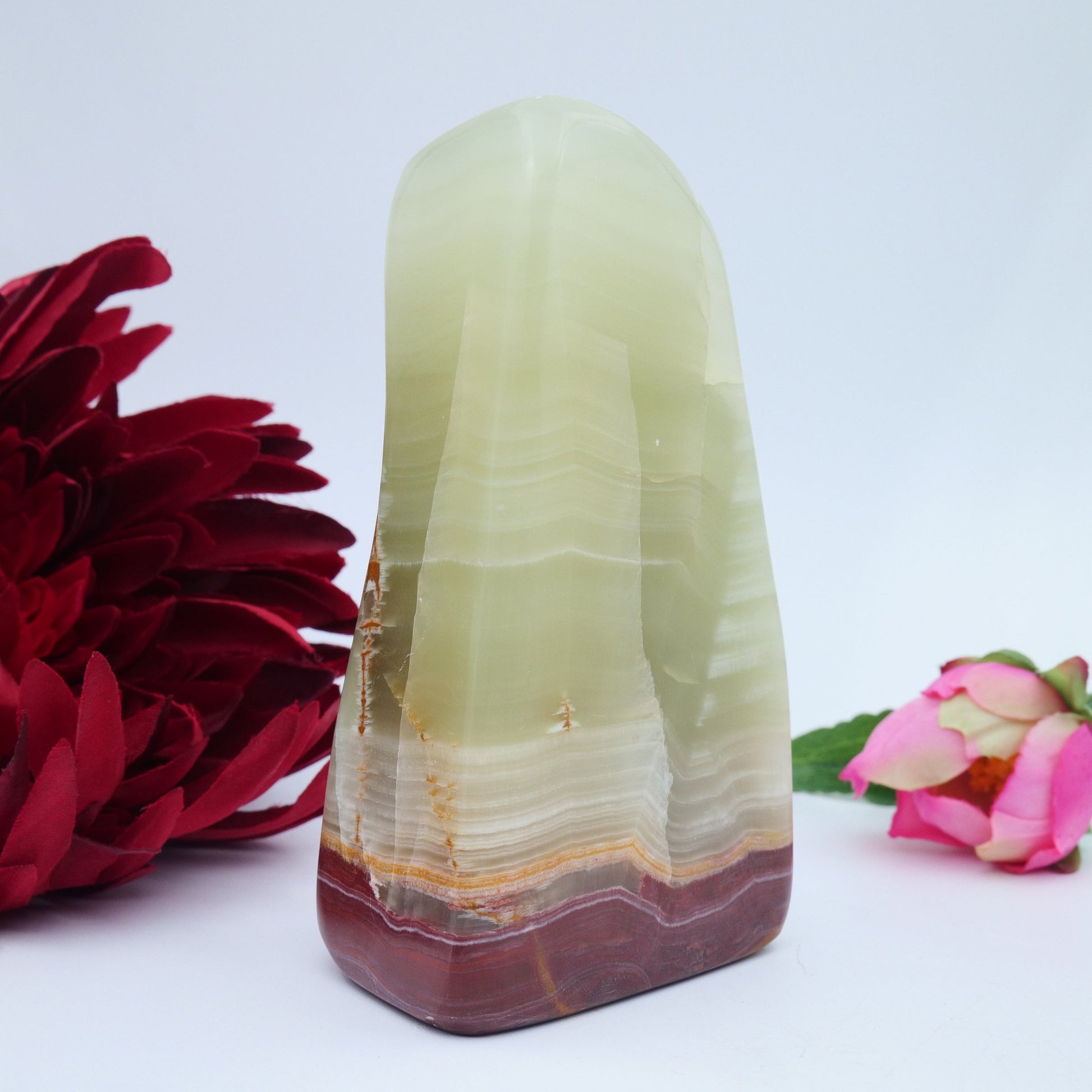 Afghanistan Jade / Onyx Freeform — 502 g - Luna Panther