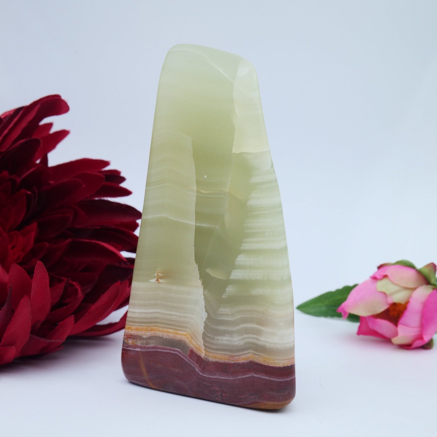 Afghanistan Jade / Onyx Freeform — 502 g - Luna Panther