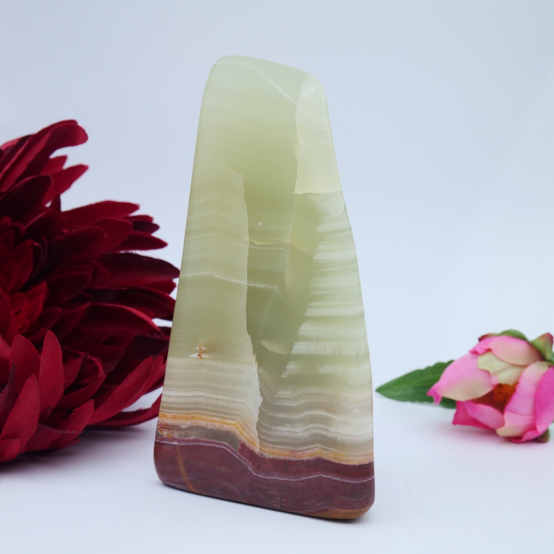 Afghanistan Jade / Onyx Freeform — 502 g - Luna Panther