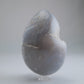 Agate Egg 359g - Luna Panther