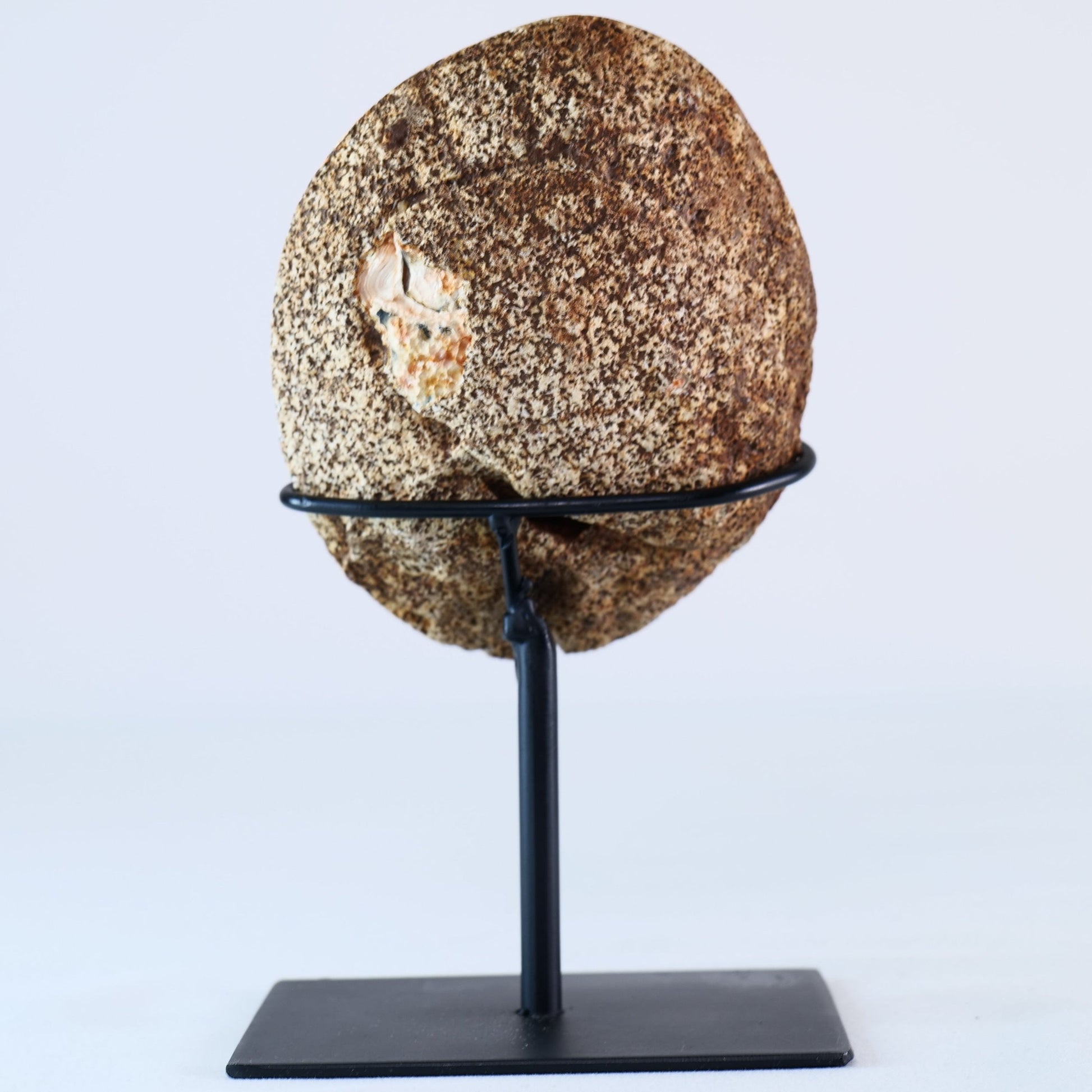 Agate Geode 508g – Brazilian Druzy Crystal - Luna Panther