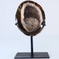 Agate Geode 508g – Brazilian Druzy Crystal - Luna Panther