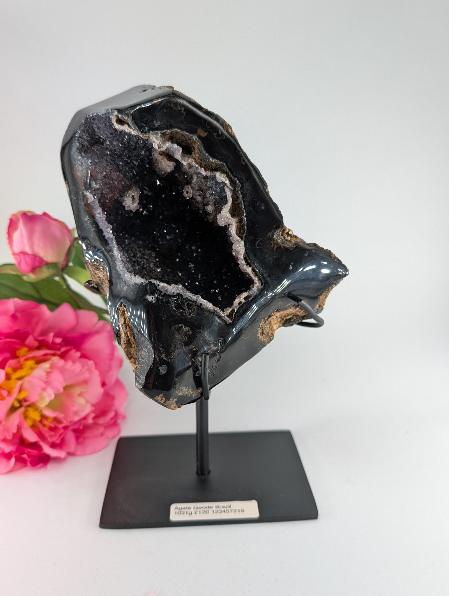 Natural Agate Geode Brazil 1031 grams featuring banded patterns and glossy finish - Luna Panther