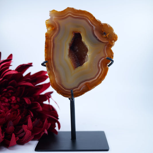Agate Geode (Brazil) — 875g, On Stand - Luna Panther