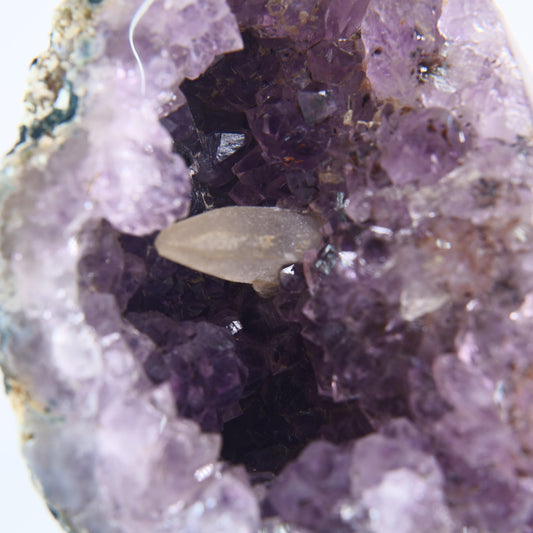Agate Geode – Brazilian Amethyst on Stand - Luna Panther alternate view