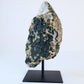 Agate Geode – Brazilian Amethyst on Stand - Luna Panther