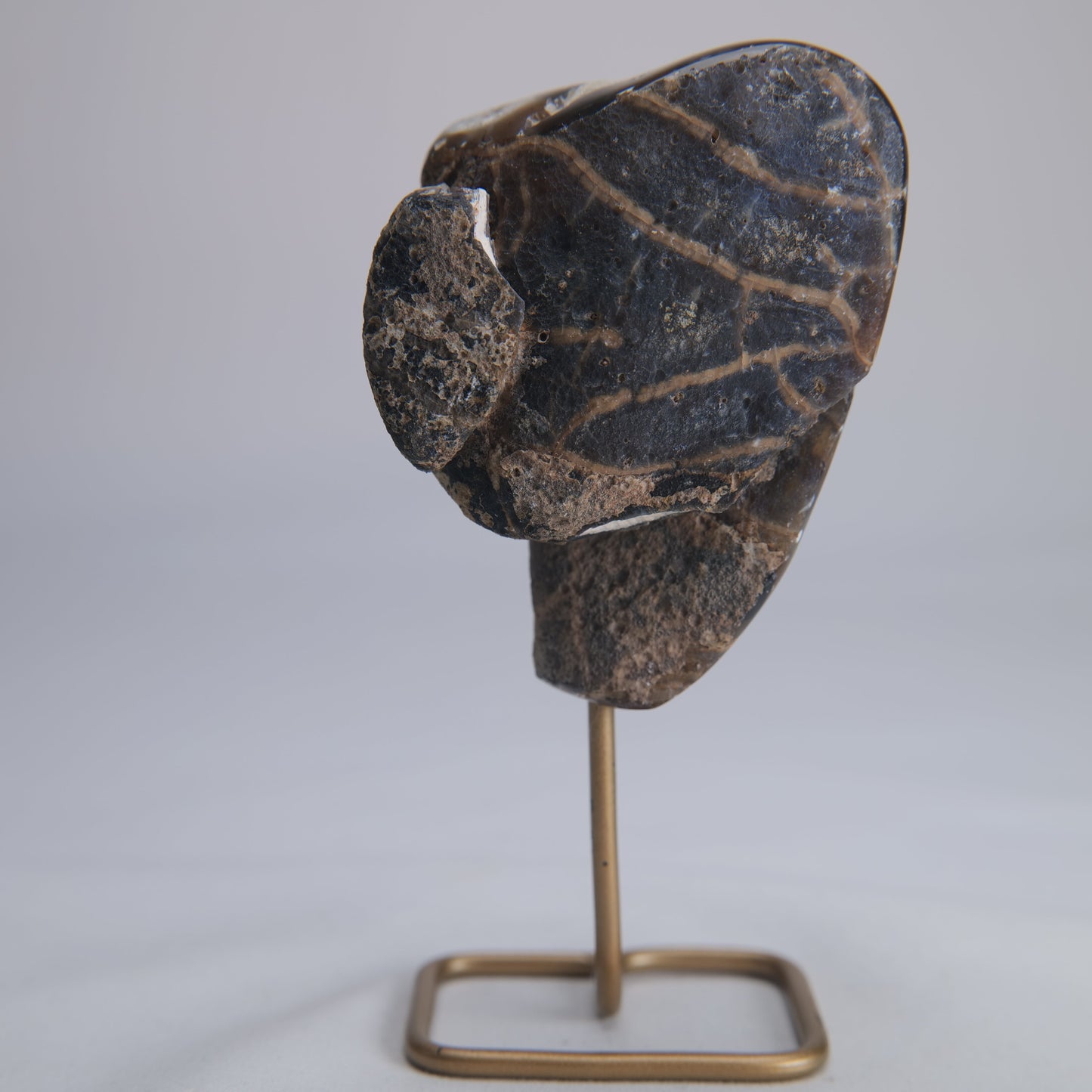 Agate Geode Druzy on Stand 184g - Luna Panther