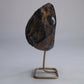 Agate Geode Druzy on Stand 237g - Luna Panther