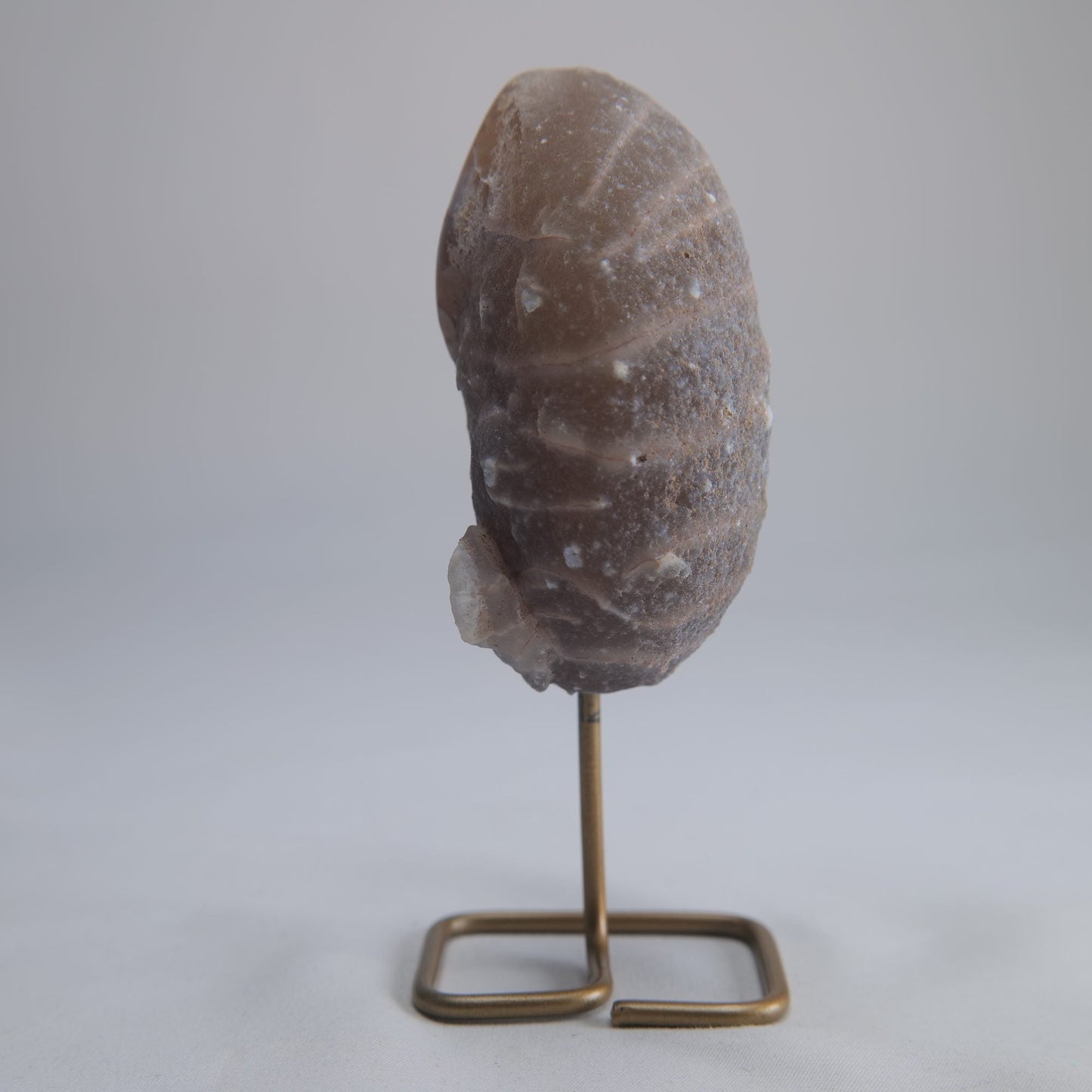 Agate Geode Druzy on Stand 244g - Luna Panther