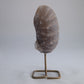 Agate Geode Druzy on Stand 244g - Luna Panther