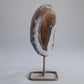 Agate Geode Druzy on Stand 244g - Luna Panther