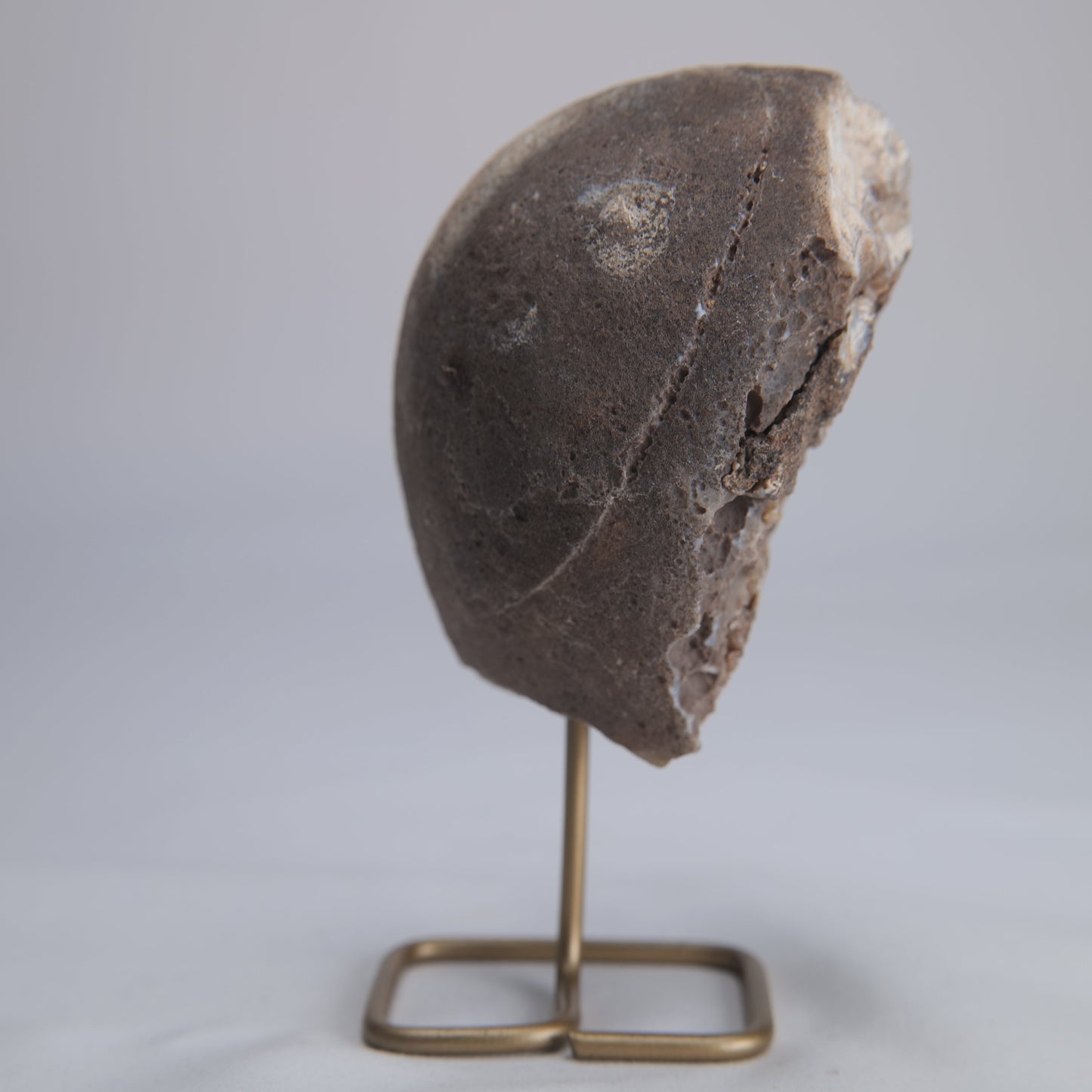 Agate Geode Druzy on Stand 281g - Luna Panther