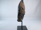 Agate Geode on Stand 1458g (Brazil) - Luna Panther