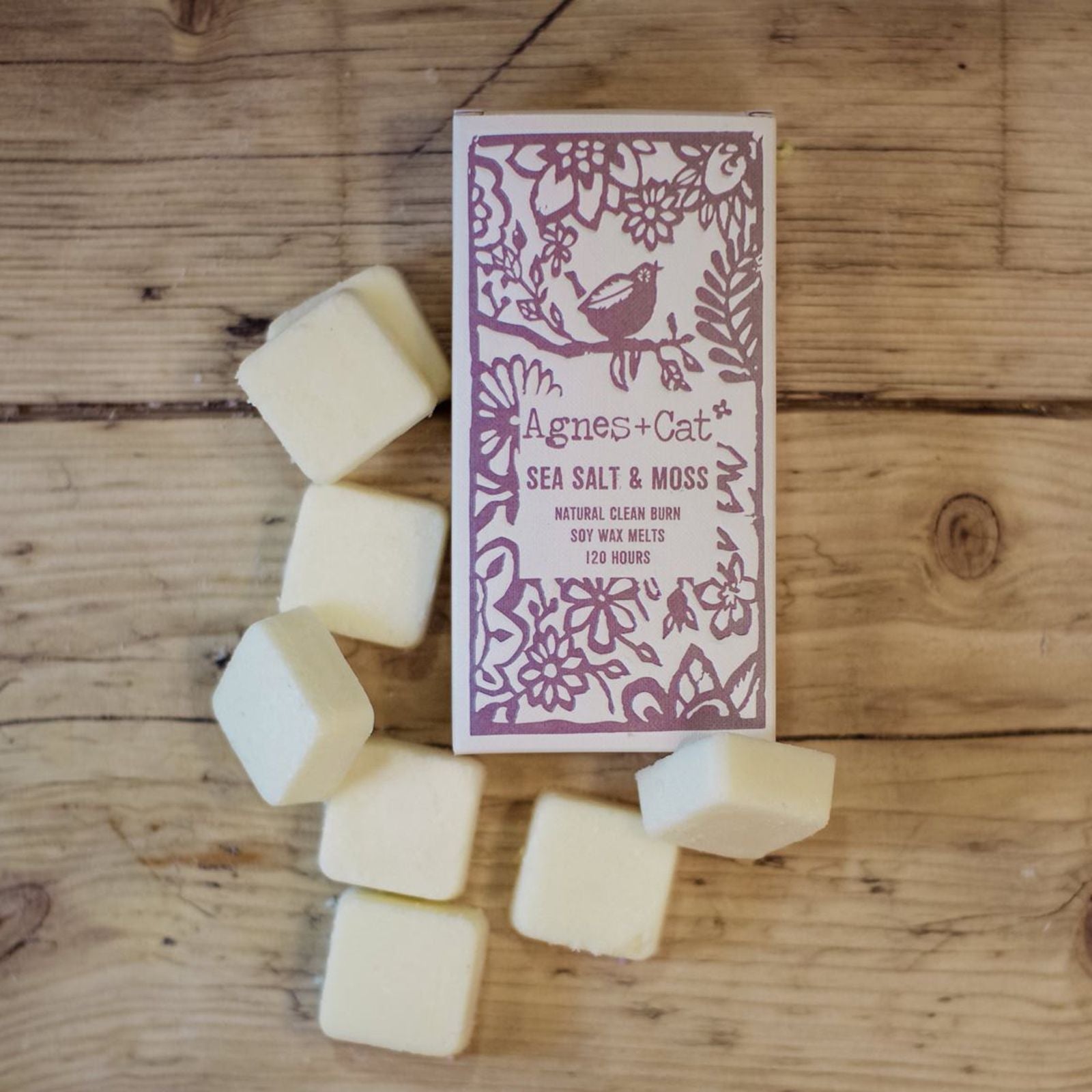 Agnes + Cat Box of 8 Wax Melts - Sea Salt + Moss - Luna Panther