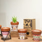 Agnes + Cat Herb Garden Candles - Clove - Luna Panther
