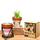 Agnes + Cat Herb Garden Candles - Rosemary - Luna Panther