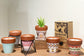 Agnes + Cat Herb Garden Candles - Rosemary - Luna Panther