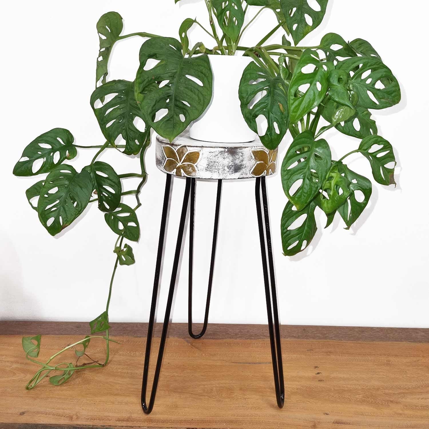 Albasia Wood Plant Stand - Whitewash - Luna Panther