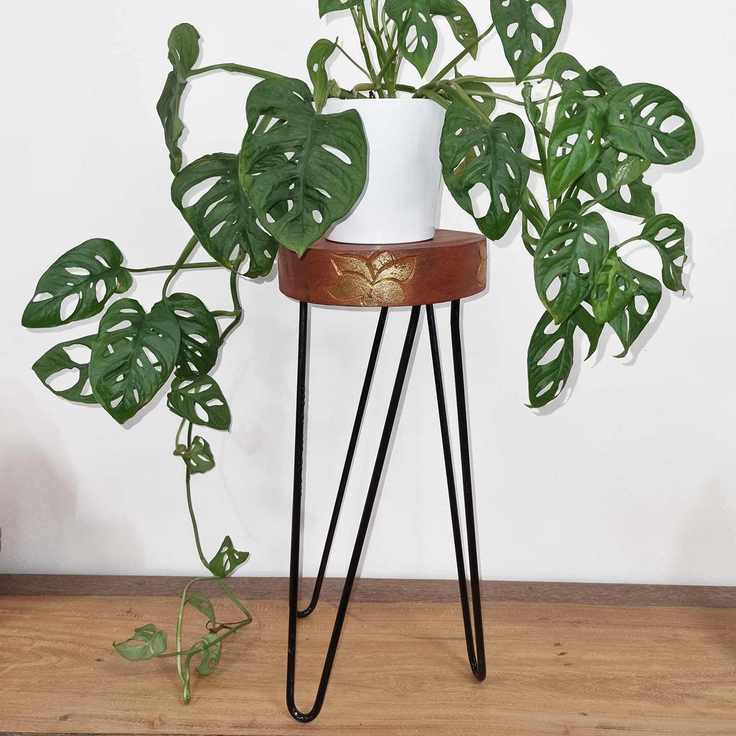 Albasia Wood Plant Stand - Whitewash - Luna Panther