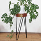 Albasia Wood Plant Stand - Whitewash - Luna Panther