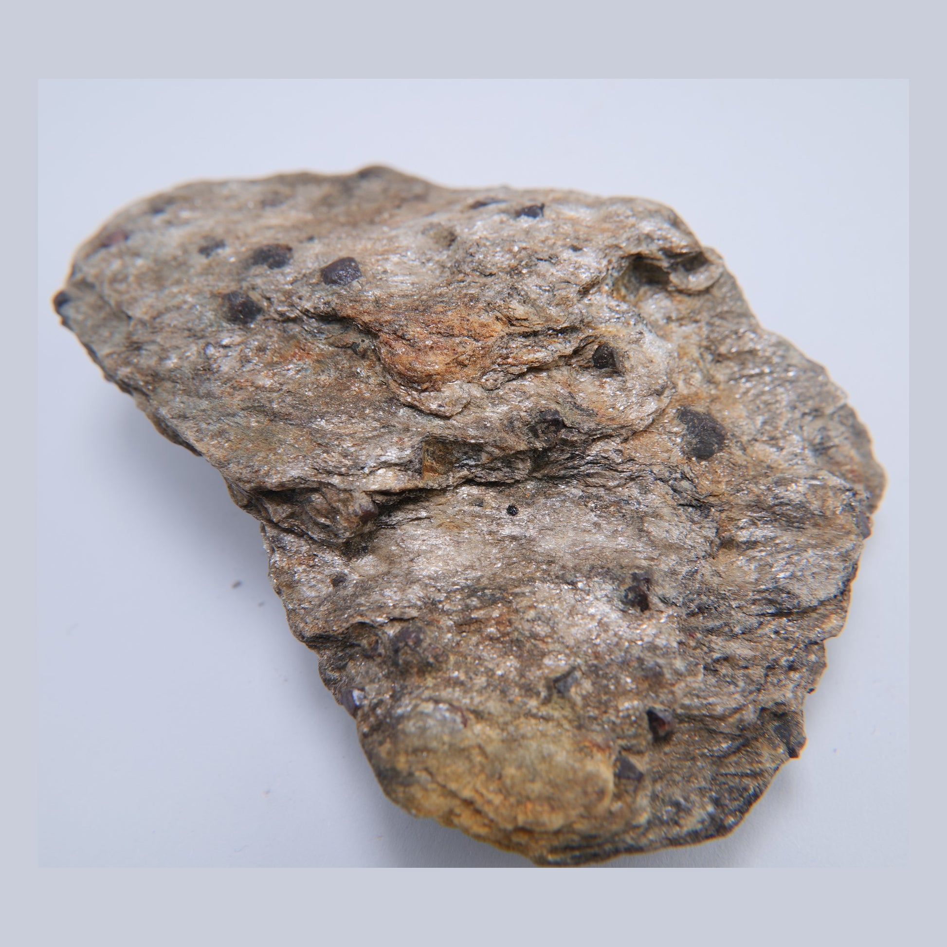 Almandine Garnet from Blair Atholl, Scotland - 278g