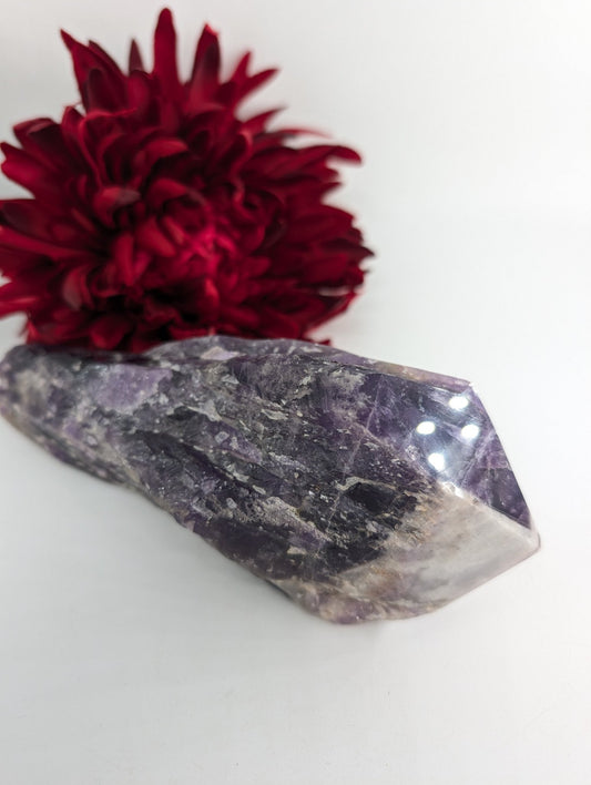 Polished Amethyst Dragon Tooth 690g featuring rich purple colour and natural clarity - Luna Panther