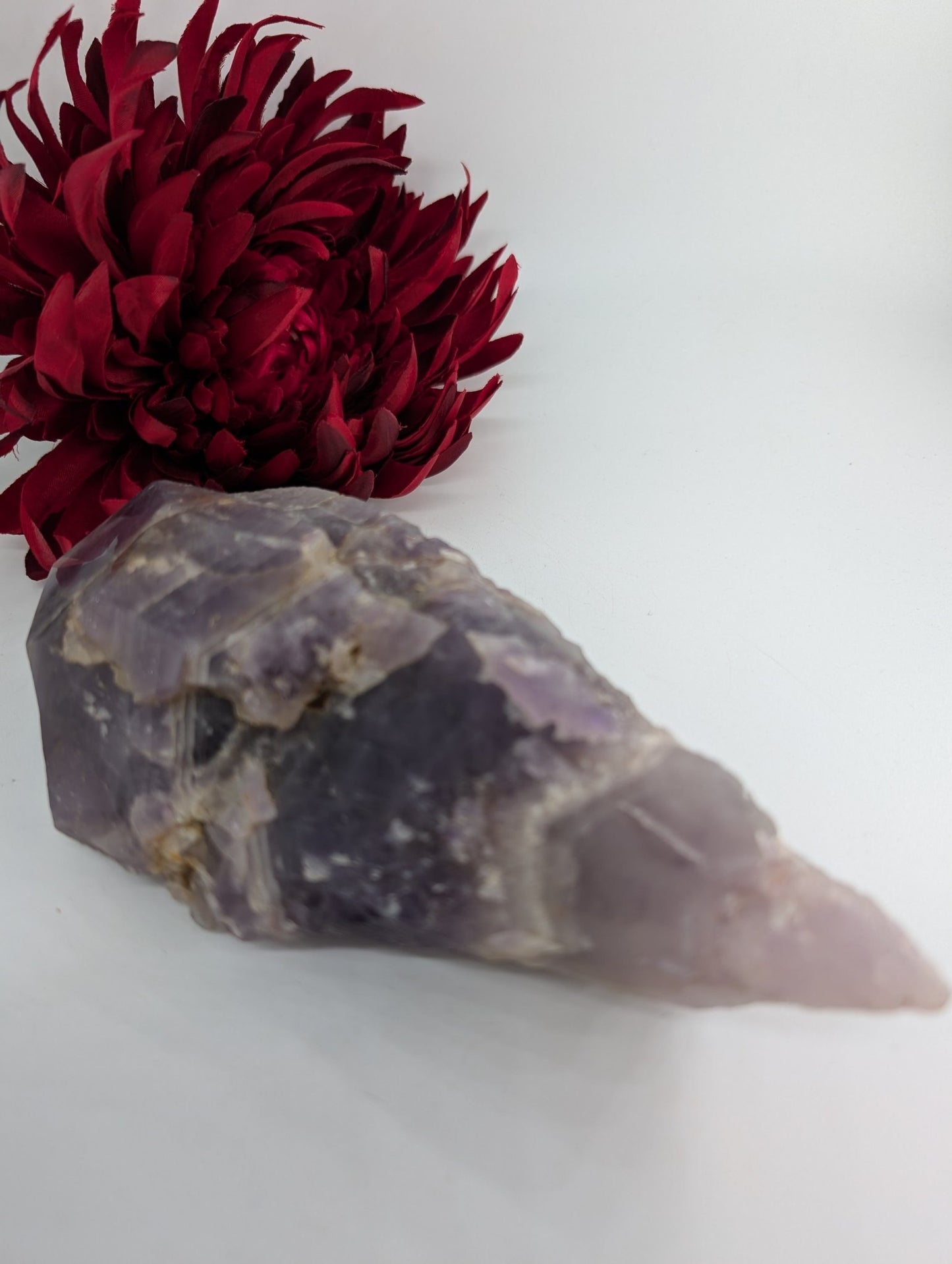 Polished Amethyst Dragon Tooth 719g featuring rich purple colour and natural clarity - Luna Panther