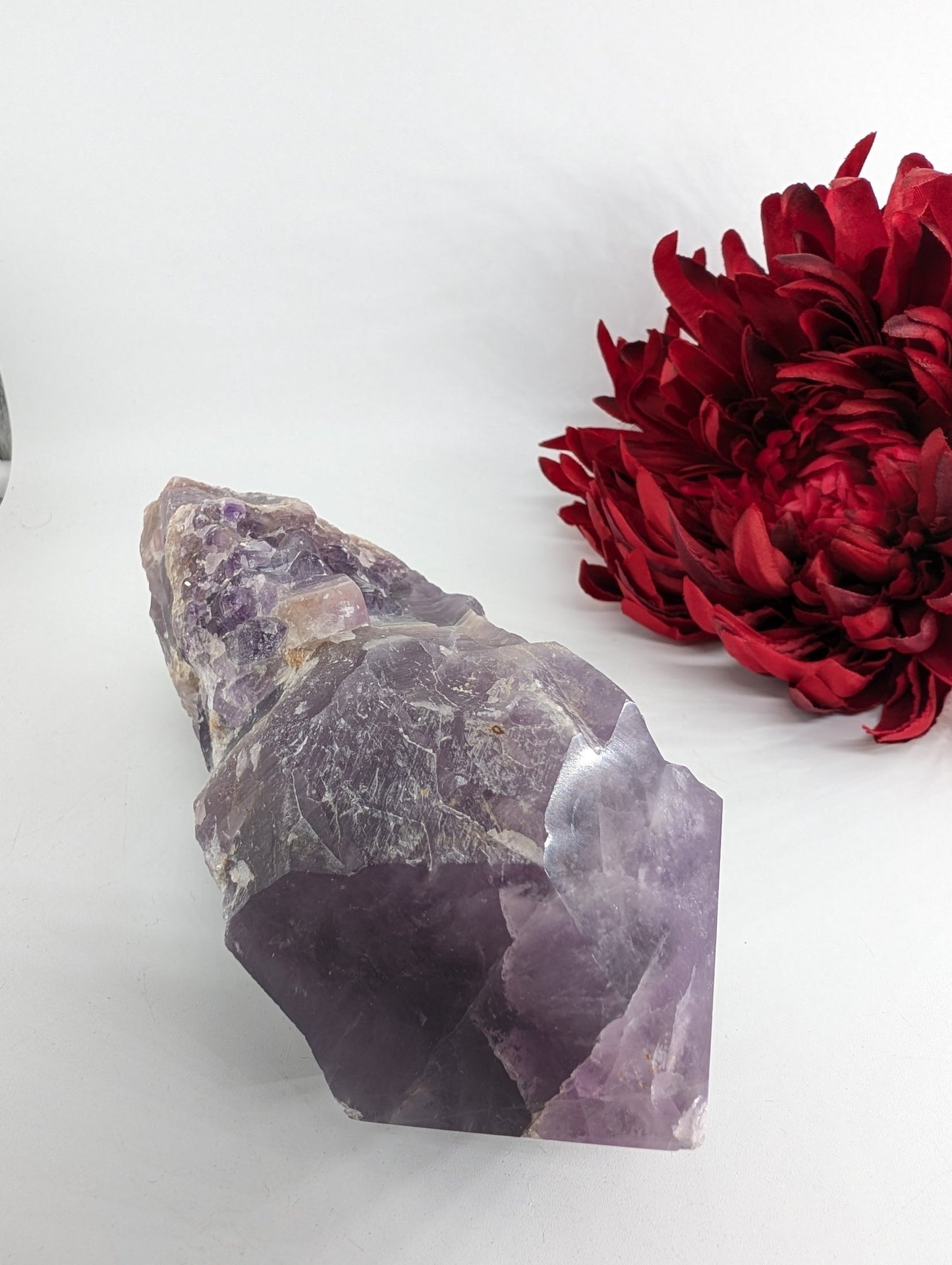 Polished Amethyst Dragon Tooth 900g featuring rich purple colour and natural clarity - Luna Panther