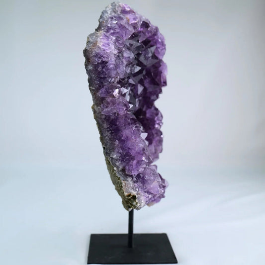 Amethyst Druzy on Stand 2565g - Luna Panther