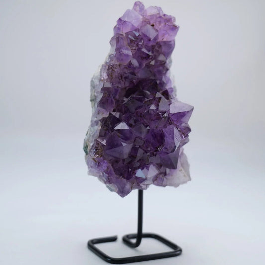 Amethyst Druzy on Stand 387g - Luna Panther