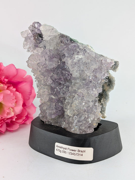Polished Amethyst Flower 470 grams featuring rich purple colour and natural clarity - Luna Panther