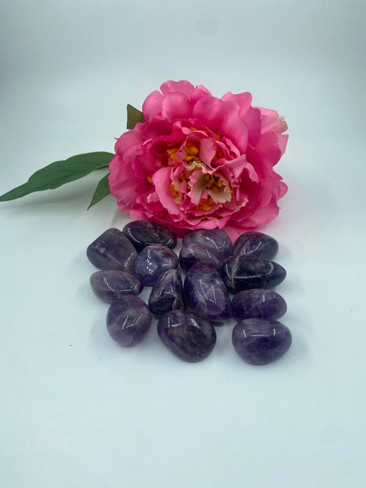 Polished Amethyst - Tumble Stone featuring rich purple colour and natural clarity - Luna Panther
